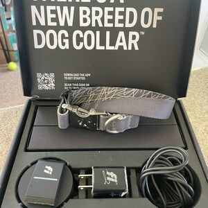 Gray Dog Collar by